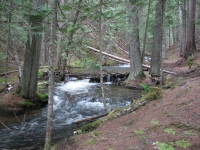 The trail at Robinson Lake